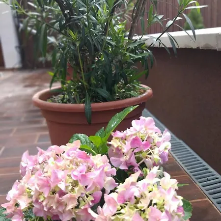 Hacienda * Eger