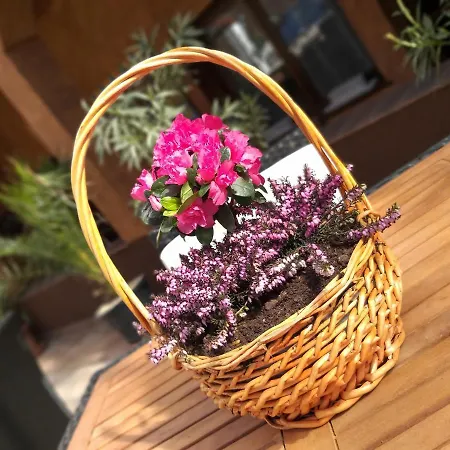 Aparthotel Hacienda Eger